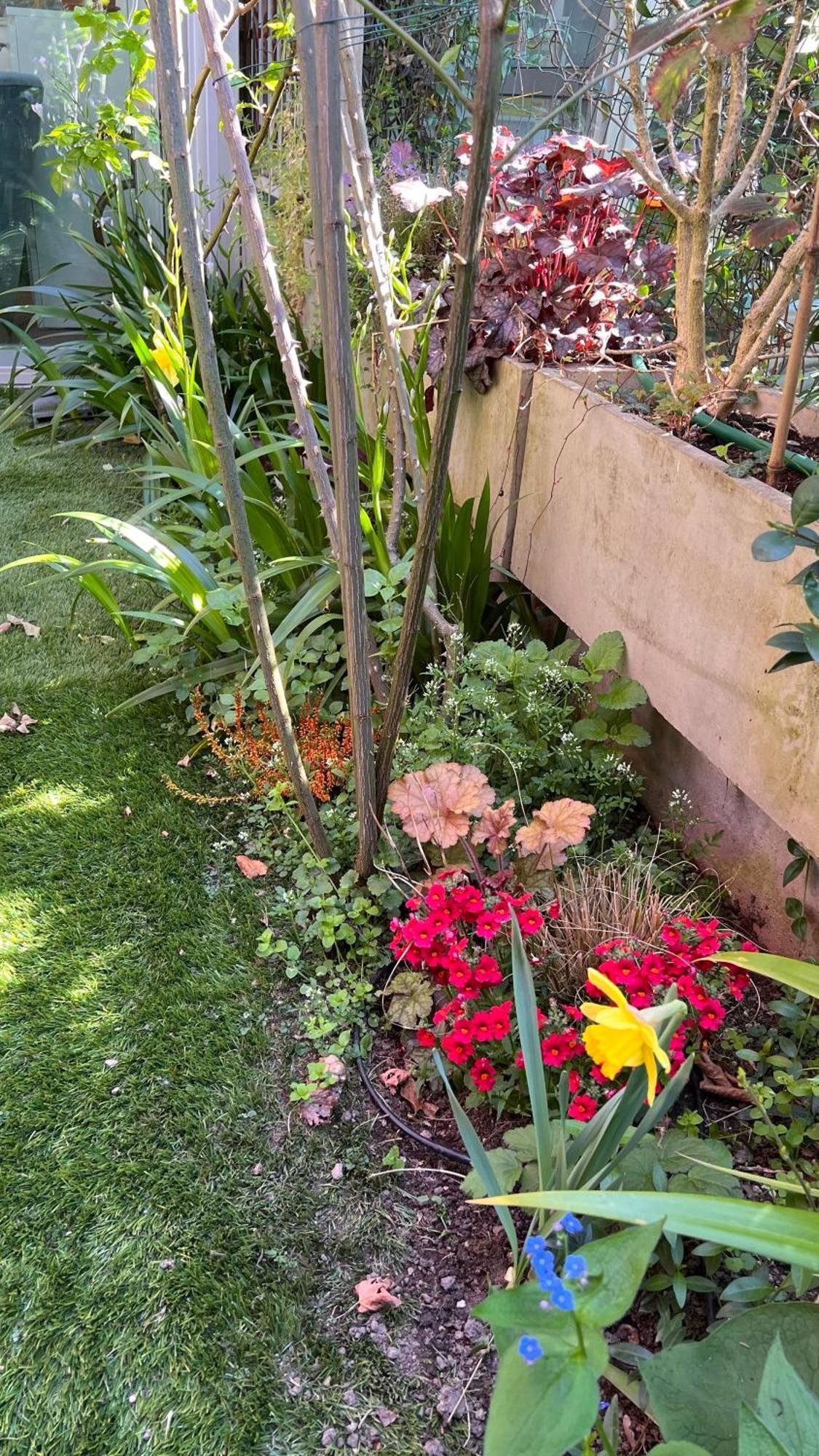 Garden Suite Bozen Exterior foto